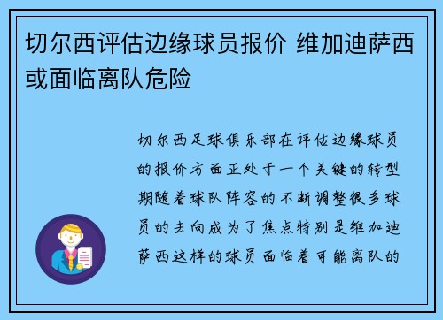 切尔西评估边缘球员报价 维加迪萨西或面临离队危险