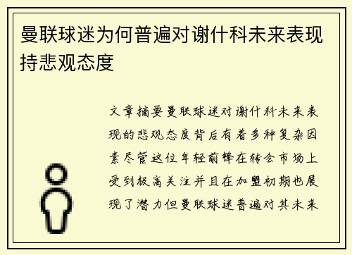 曼联球迷为何普遍对谢什科未来表现持悲观态度